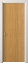 4205 ВНД